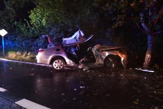 Tragiczny wypadek w Rybniku. Nie żyje 19-letnia pasażerka BMW. Samochód uderzył w drzewo z dużą prędkością