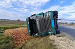 Przewrócona ciężarówka zablokowała rondo. 30 ton jabłek na drodze