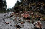 Halny w Tatrach. Połamane drzewa, uszkodzone domy