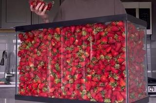 Tiktoker je truskawki 