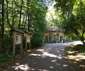 Ile wiesz o miejscowościach Roztocza w woj. lubelskim? Sprawdź w naszym quizie!