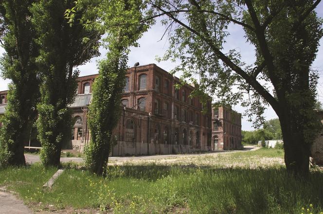 Łódzka Manufaktura świętuje 18. urodziny