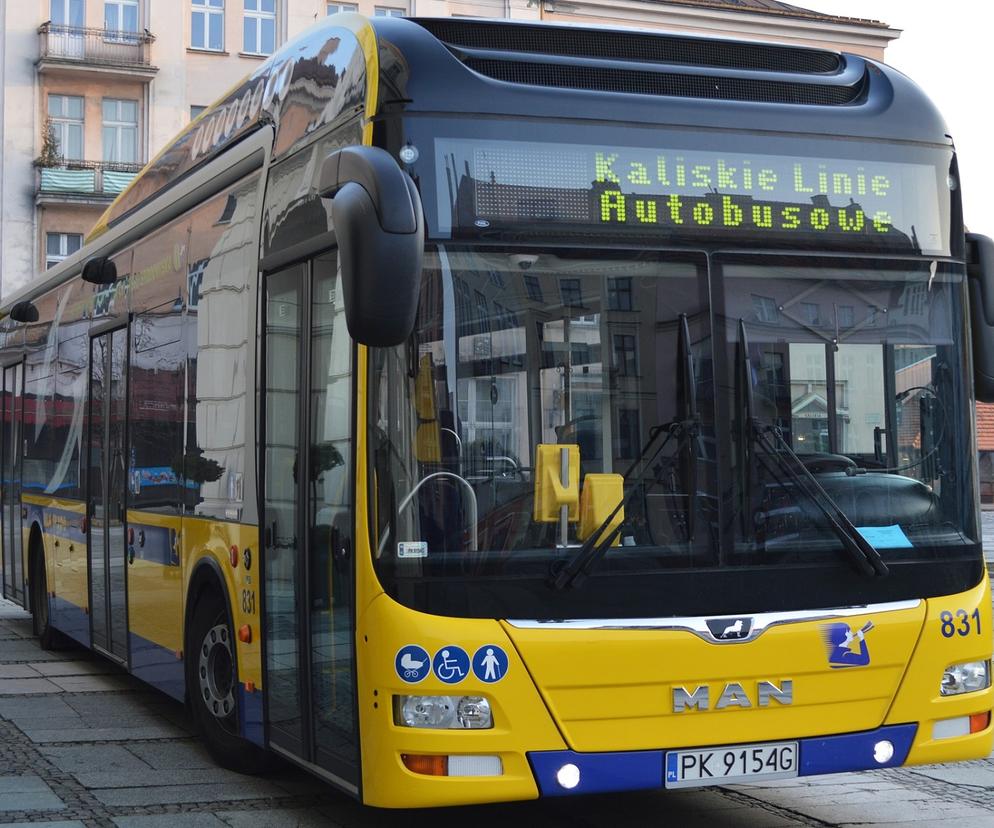 Kalisz: będzie dodatkowa linia autobusowa