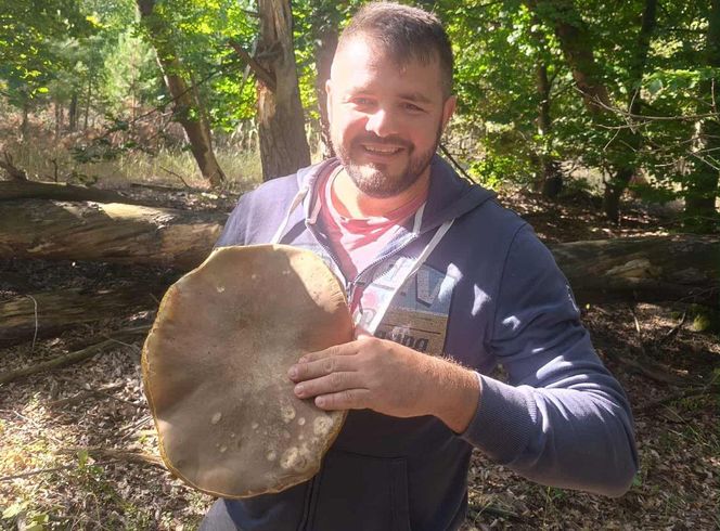 Gigantyczne grzyby w kujawsko-pomorskich lasach