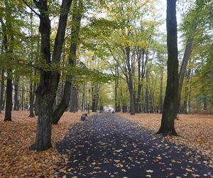 Park Lubomirskich w Białymstoku jesienią 