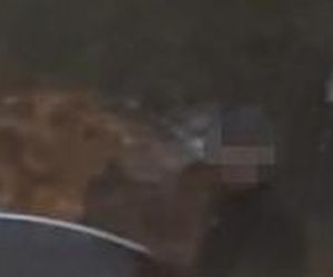 Przejechali mu psa oplem. Zabili moją Sunię