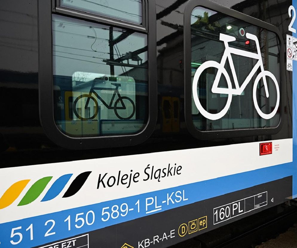 Pociągiem po Śląsku za 10 zł? Wakacyjna promocja Kolei Śląskich