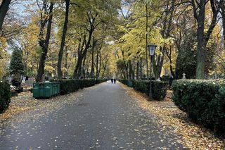 Niewiarygodne, co znalazło się na grobie Mieczysław Fogga. Takie rzeczy przed 1 listopada