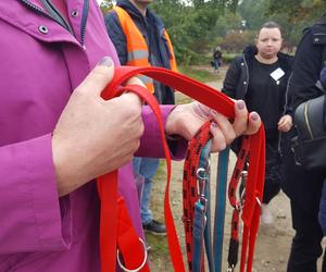 ​Szczeniak i kot znalazły nowy dom. To pierwsze efekty sobotniej akcji Bieg + 4 Łapy koło Leszna