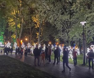 Light Move Festival 2025