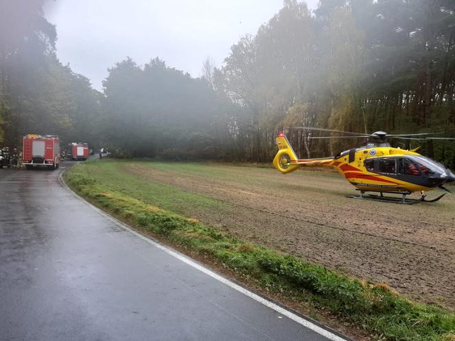 Wypadek na granicy dwóch powiatów. Kobieta uderzyła samochodem w drzewo