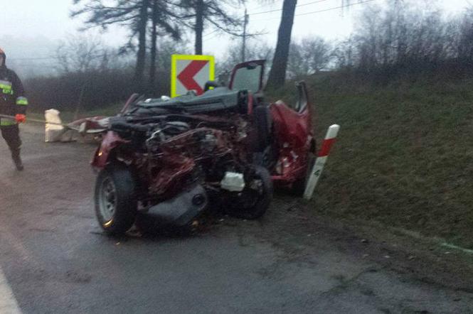 Śmiertelny wypadek na DK94 w Wielkiej Wsi [ZDJĘCIA]