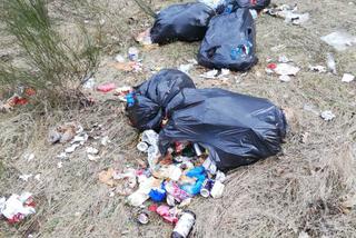 Gmina Pniewy: Nielegalne odpady w lesie. Sprawca musiał posprzątać swoją zgubę!