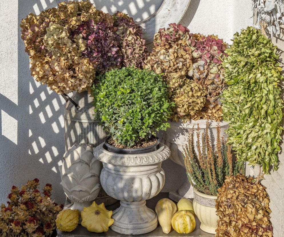 Nie potrzebujesz lata, by cieszyć się balkonem! Te dekoracje robią klimat