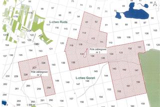 Zakaz wstępu do lasu w Kujawsko-Pomorskiem! Mapa z zamkniętymi terenami