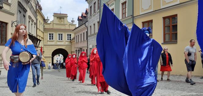 Wdowy milcząco przeszły przez Lublin. Był to protest przeciwko budowie kopani węgla przy Poleskim Parku Narodowym