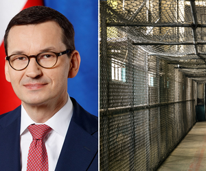 Premier Morawiecki opowiedział się za karą śmierci! Politycy komentują. Trzeba naprawdę gardzić intelektem wyborców