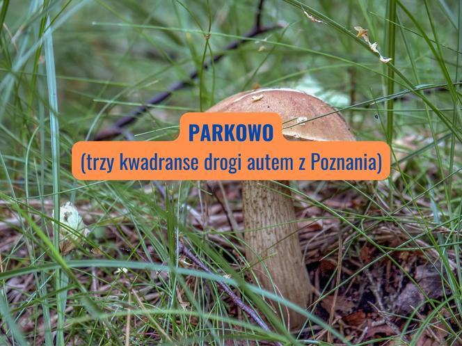 Parkowo (powiat obornicki)