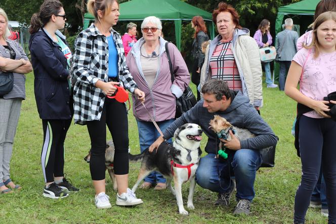 IX Piknik Przyjaciół Schroniska w Toruniu