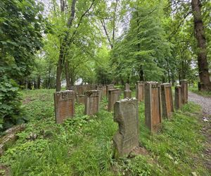 Cmentarz żydowski w Leżajsku