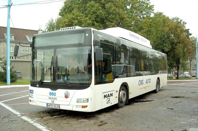 MZK Toruń autobus
