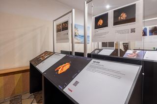 Canon World Unseen Exhibition – poruszająca podróż do świata wyobraźni i dotyku w Ustroniu Morskim