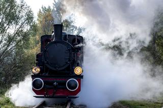 Górnośląskie Koleje Wąskotorowe: Inscenizacja kontroli paszportowej na polsko-niemieckim przejściu granicznym