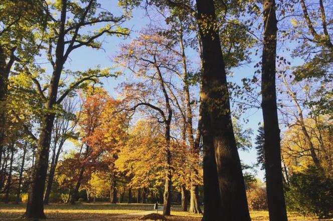 park jelenia góra