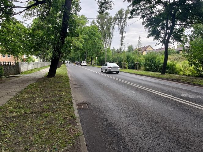 "Wyleciał mi przed maskę"