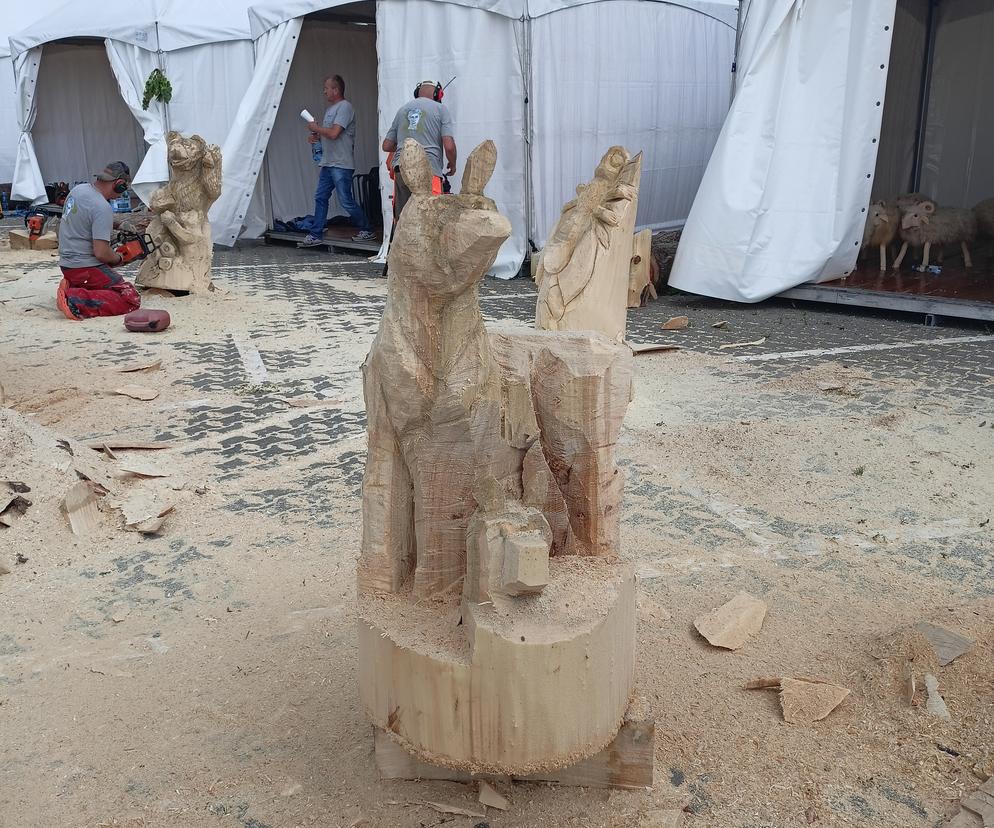Wystartował POZnań Wood Festival 2023!