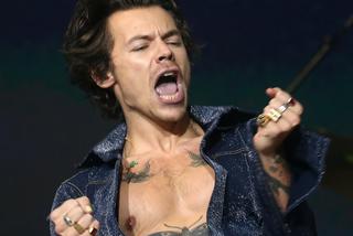 Harry Styles wcale nie chciał być muzykiem! Jaką planował karierę?