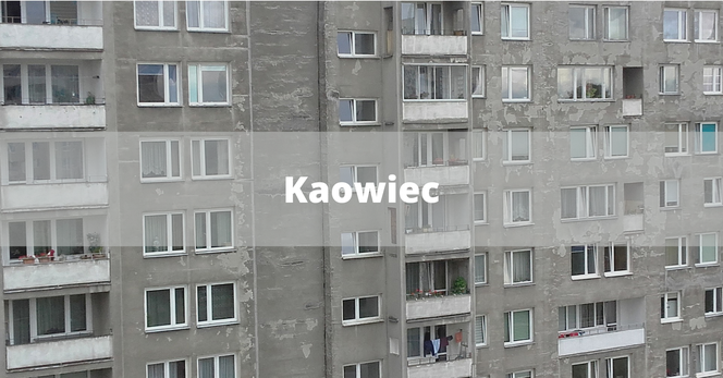 Kaowiec