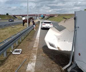 Gliwice. Na autostradzie stoi koń. Uwaga kierowcy!