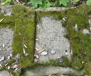 Cmentarz żydowski w Leżajsku