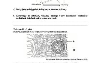 Matura 2013 biologia p. rozszerzony