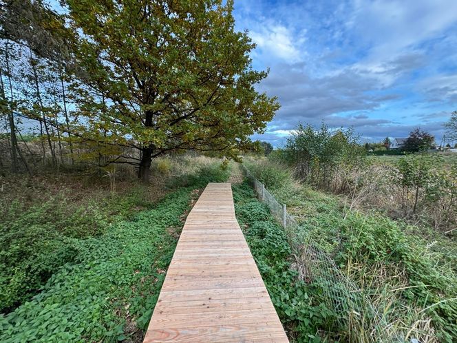 Serenity Park w Mysłowicach to nowe miejsce wypoczynku na Śląsku
