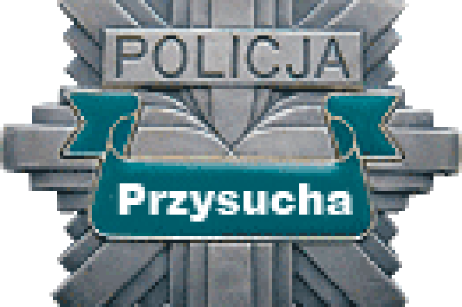Policja w Przysusze