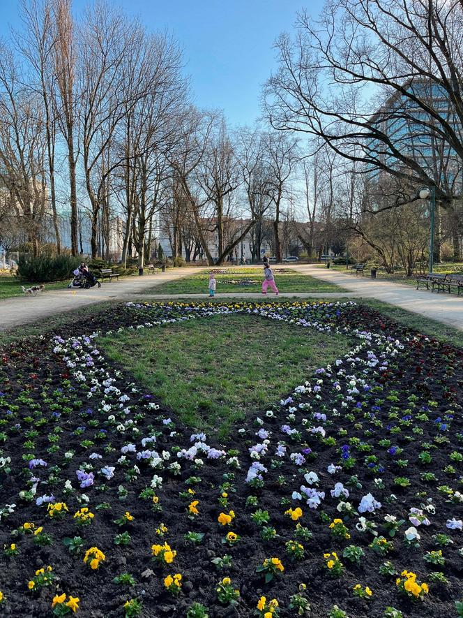 Najstarszy park w Lublinie ma już 187 lat! "Sas" był w Lublinie od zawsze