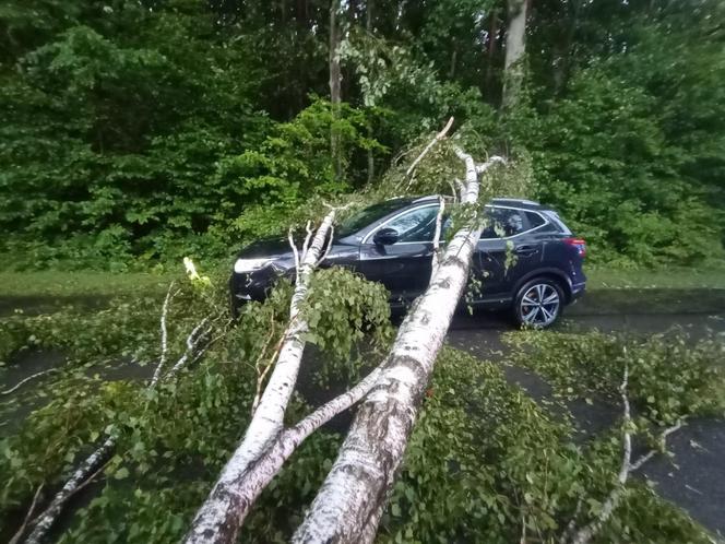 Potężna nawałnica przeszła przez woj. lubelskie. Straty są ogromne, jedna osoba jest ranna [ZDJĘCIA]