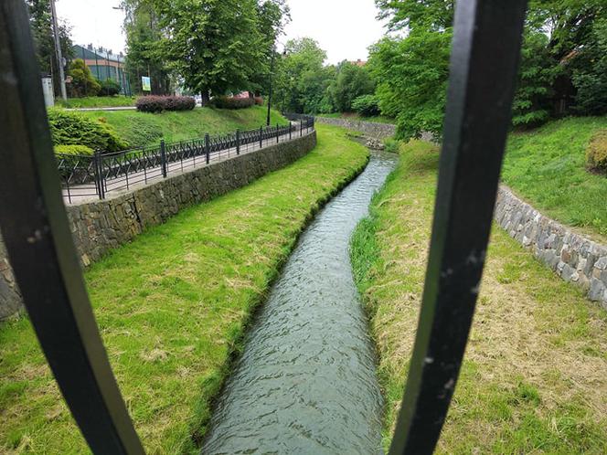 Sytuacja hydrologiczna w Tarnowie. Czy grozi nam powódź?