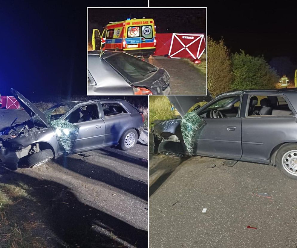 Śmiertelny wypadek pod Bełchatowem. 36-letek zderzył się z sarną [ZDJĘCIA].