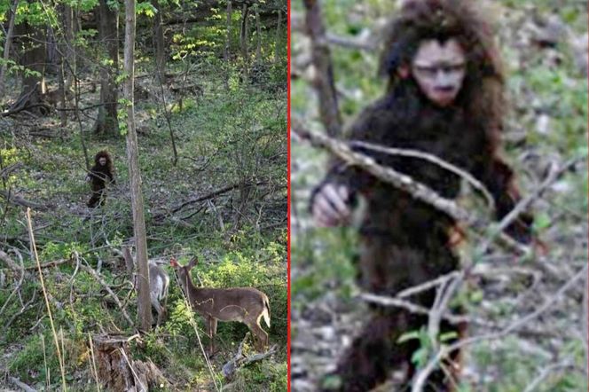 Takich zdjęć yeti jeszcze nie było! Przerażenie miesza się ze śmiechem