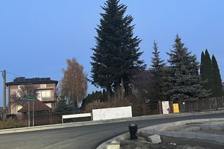 Pijana kobieta wjechała w latarnię. Mąż próbował wziąć winę na siebie