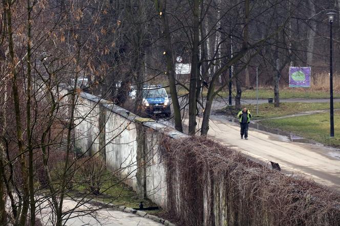 Ucieczka pantery śnieżnej z zoo w Chorzowie. Zdjęcia z akcji poszukiwawczej