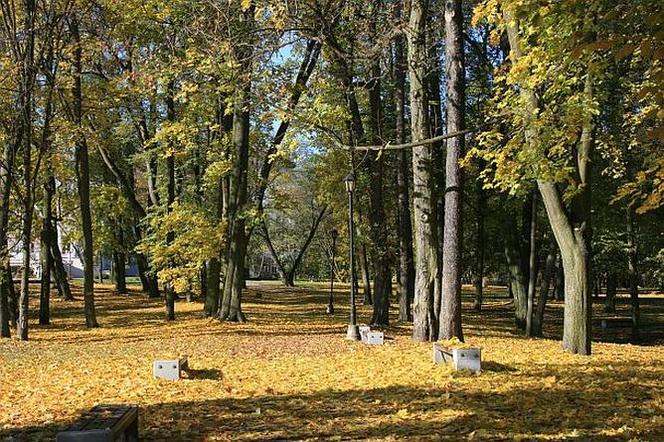 Park Lubomirskich