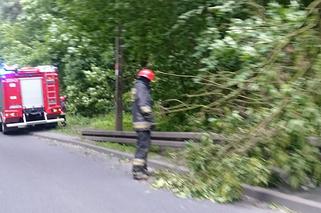 Po ulewie strażacy mieli ręce pełne roboty! Oto skutki burz w regionie łódzkim [FOTO]