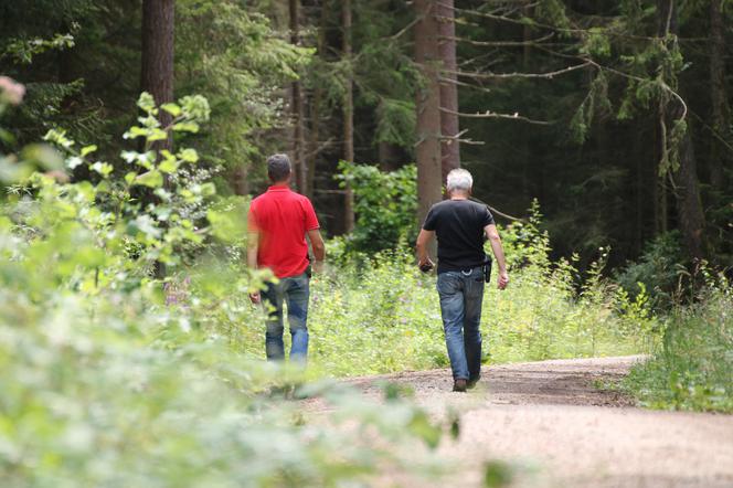 Małopolska: Zwłoki grzybiarza w lesie