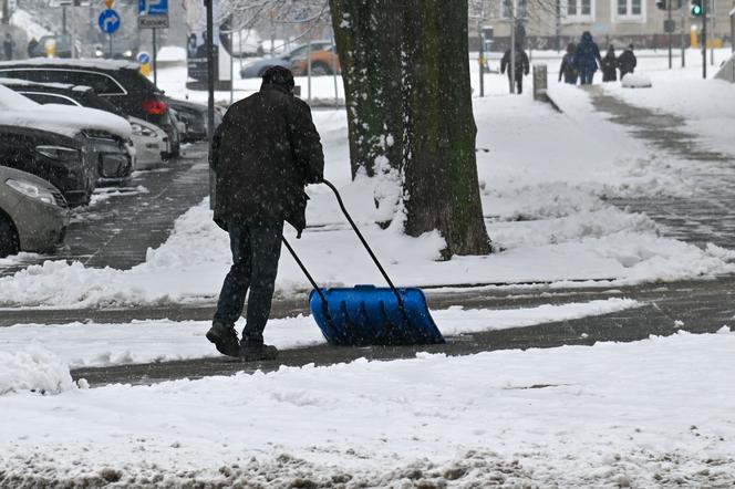 Śnieżny Szczecin 