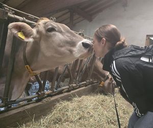 Roter Hahn: Nowoczesna agroturystyka zamiast hotelu – tu bije prawdziwe serce Południowego Tyrolu