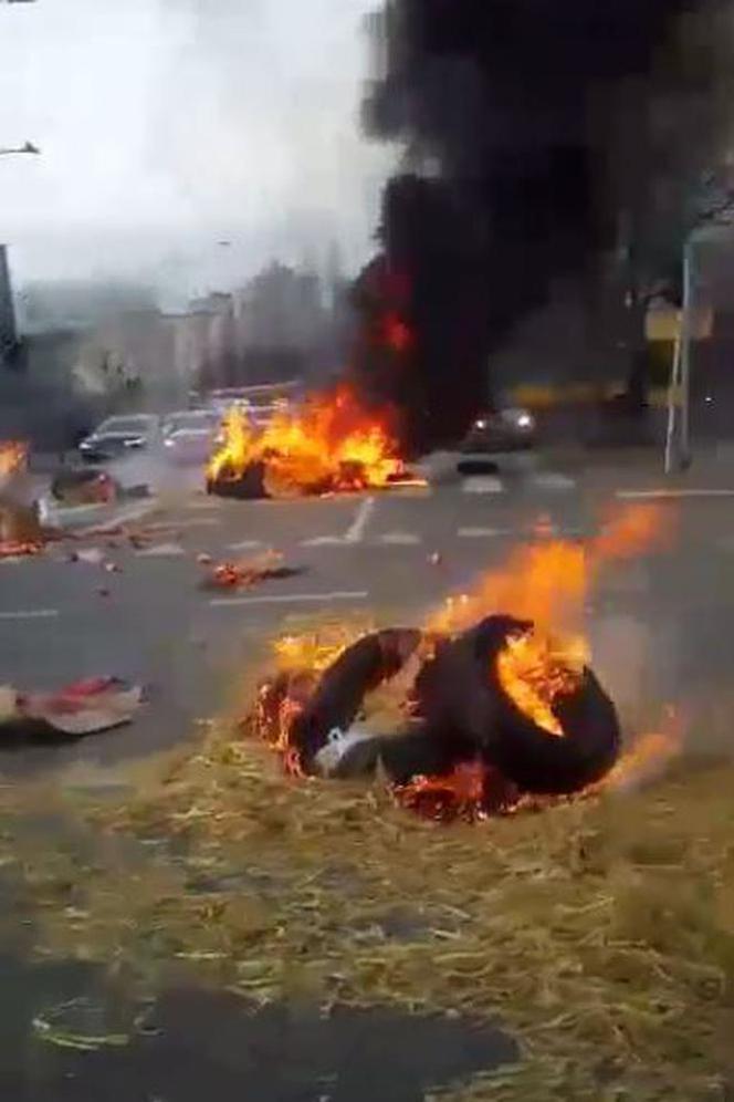 Protesty rolników w Warszawie. Palenie opon i świńskie łby na placu Zawiszy